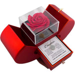 The Family Bond Amulet: Zircon Clover & Apple Vault