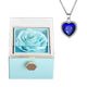 Ocean Mist Box