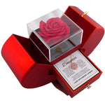 The Family Bond Amulet: Zircon Clover & Apple Vault