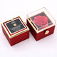 Necklace Gold Red Gift Box