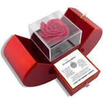 The Family Bond Amulet: Zircon Clover & Apple Vault