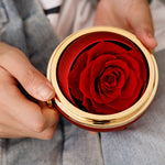 Lifestyle photo of Engraved Necklace - With Real Rose - To My Love as meaningful love gift
