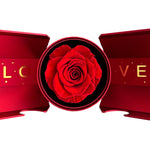 Lifestyle photo of 14k White Gold Necklace - With real Rose - To my Love as meaningful love gift