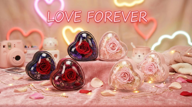 The Velvet Heart Sanctuary: Premium Presentation Box