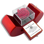 The Family Bond Amulet: Zircon Clover & Apple Vault