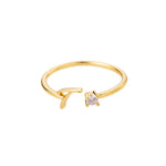 Close-up detail of Initial Ring with Luxury Rosebox with Light showing premium quality craftsmanship